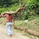 Image for article titled The Jalopnik Guide To Driving In Colombia
